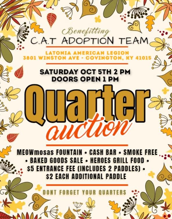 QUARTER AUCTION FOR THE KITTIES! 