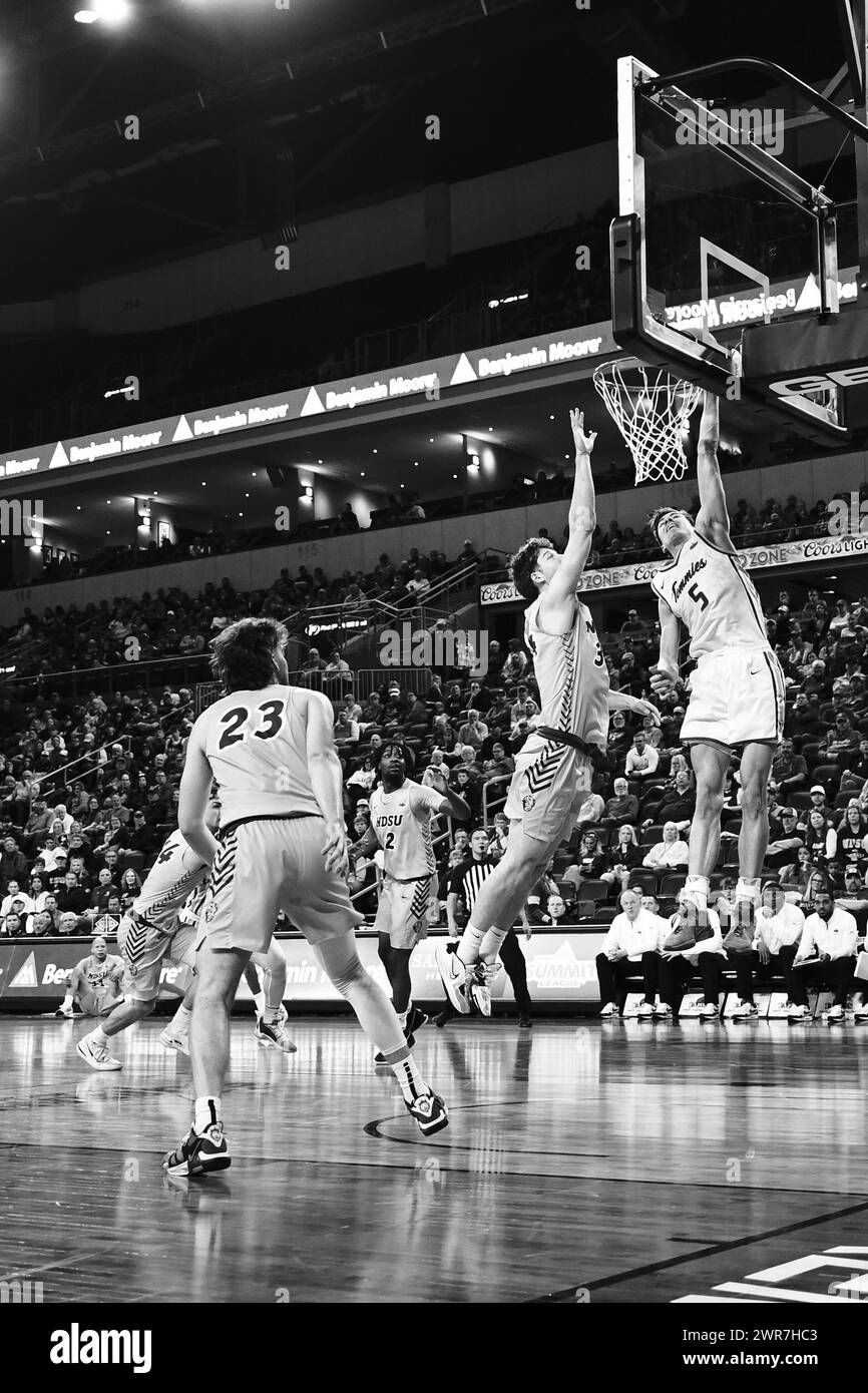 Wichita State Shockers Women's Basketball vs. St. Thomas University Tommies