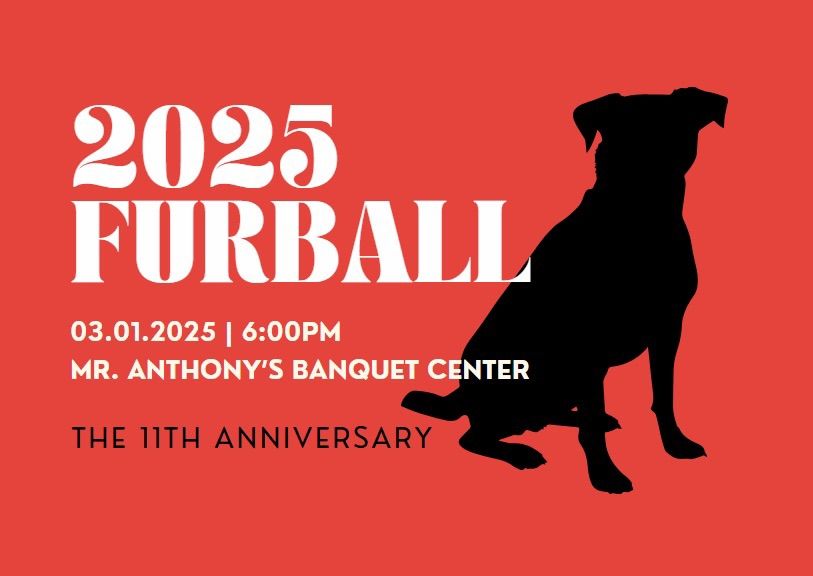 11th Annual Fur Ball