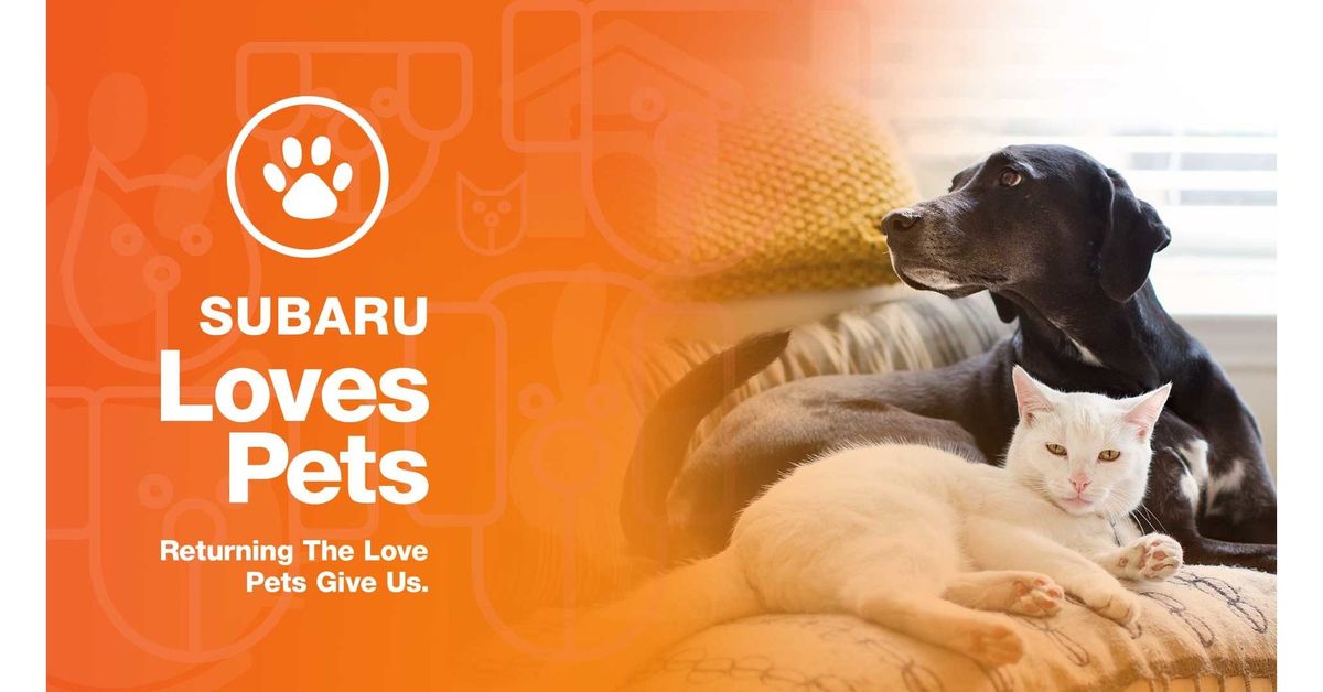 Subaru Loves Pets Event With Friends Forever Animal Rescue!