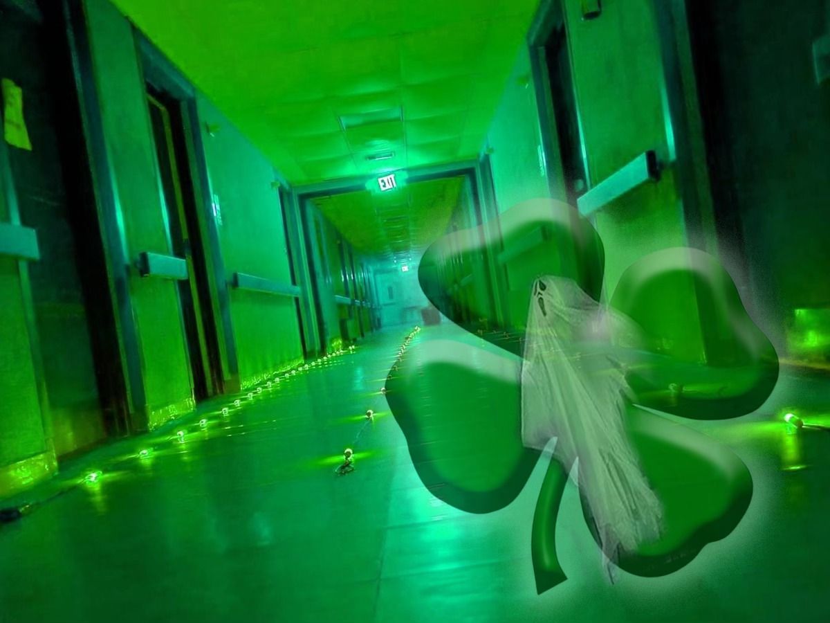 St. Patricks Day Investigation