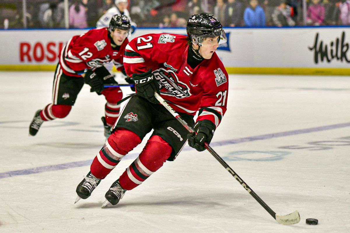 Guelph Storm at Brampton Steelheads