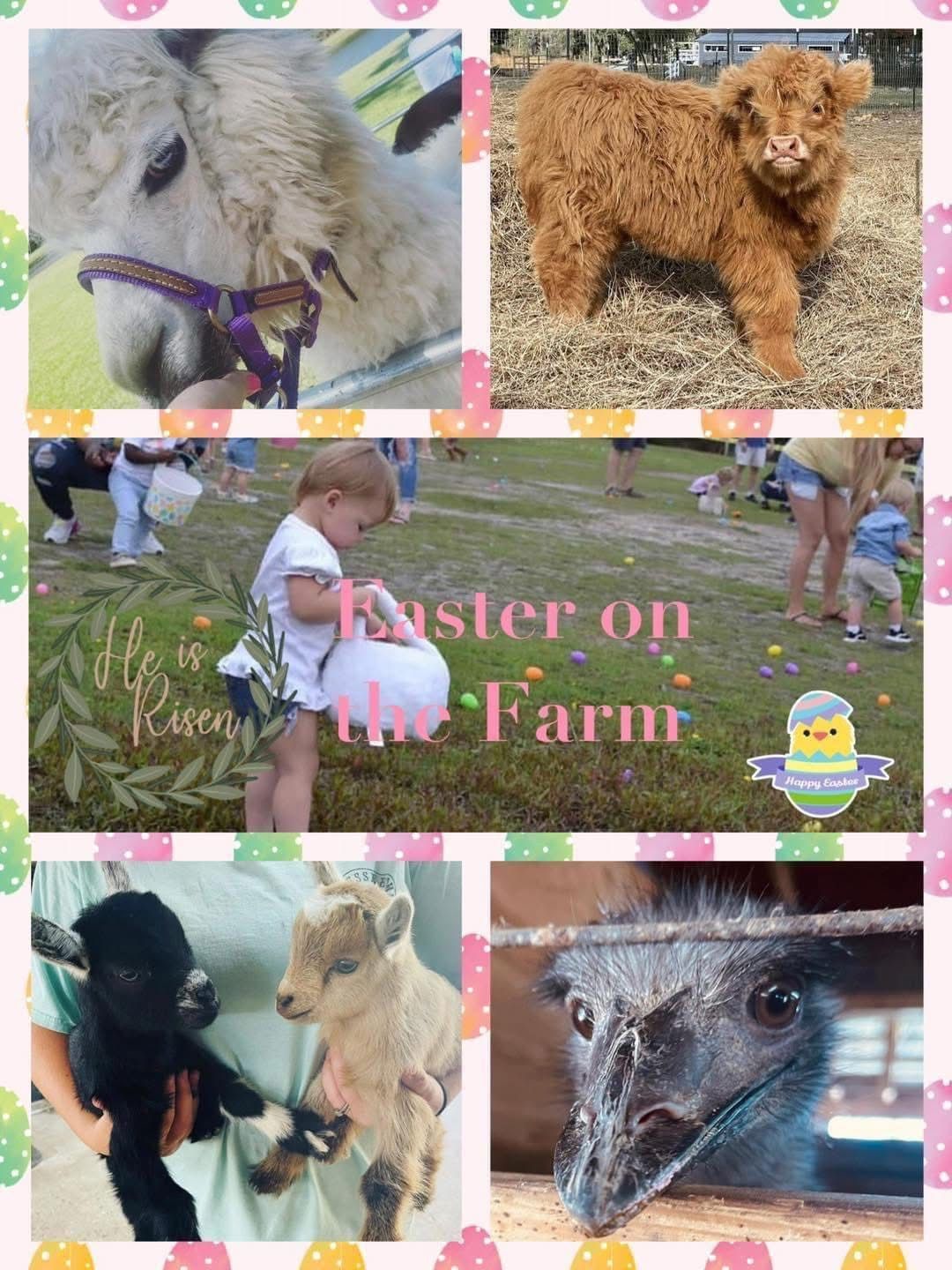 Easter on the farm - Triple J Stables & Petting Zoo \ud83d\udc07\ud83d\ude01