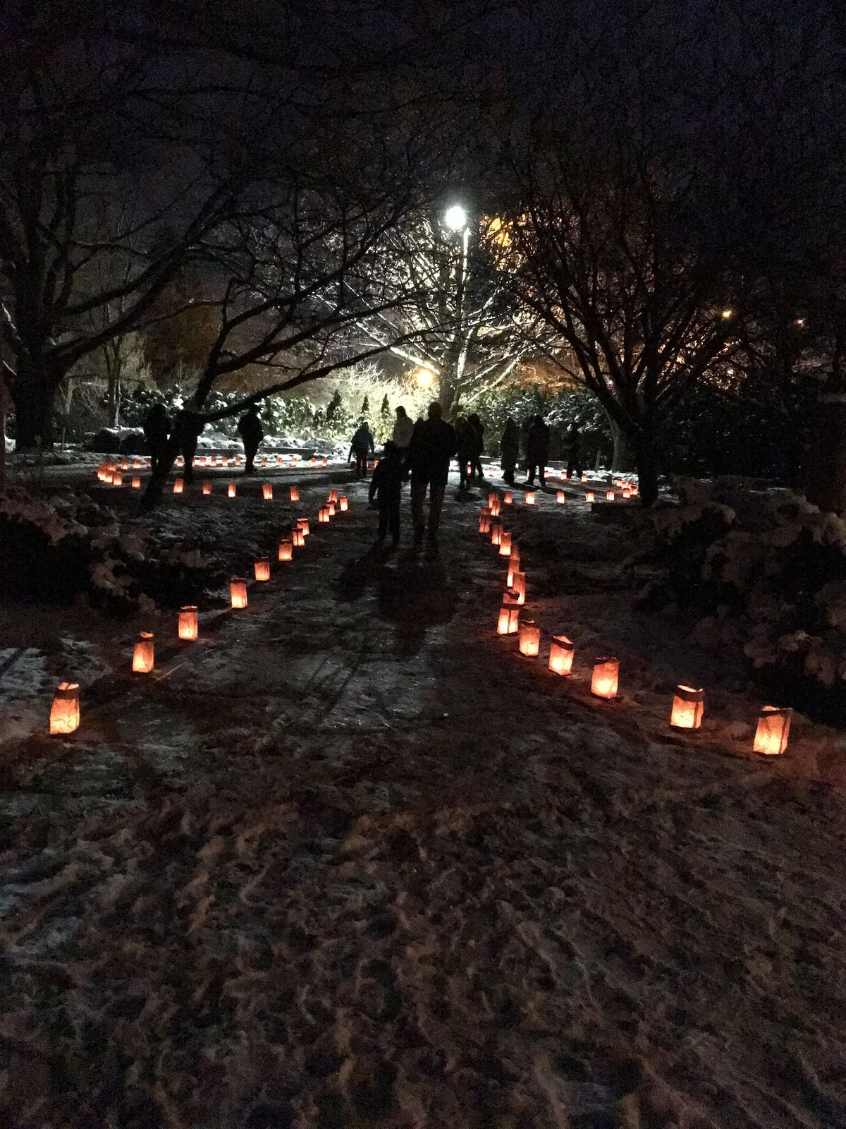 Winter Solstice Labyrinth Walk and Conifer Tour