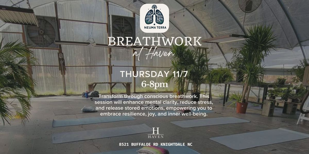 Breathwork at Haven