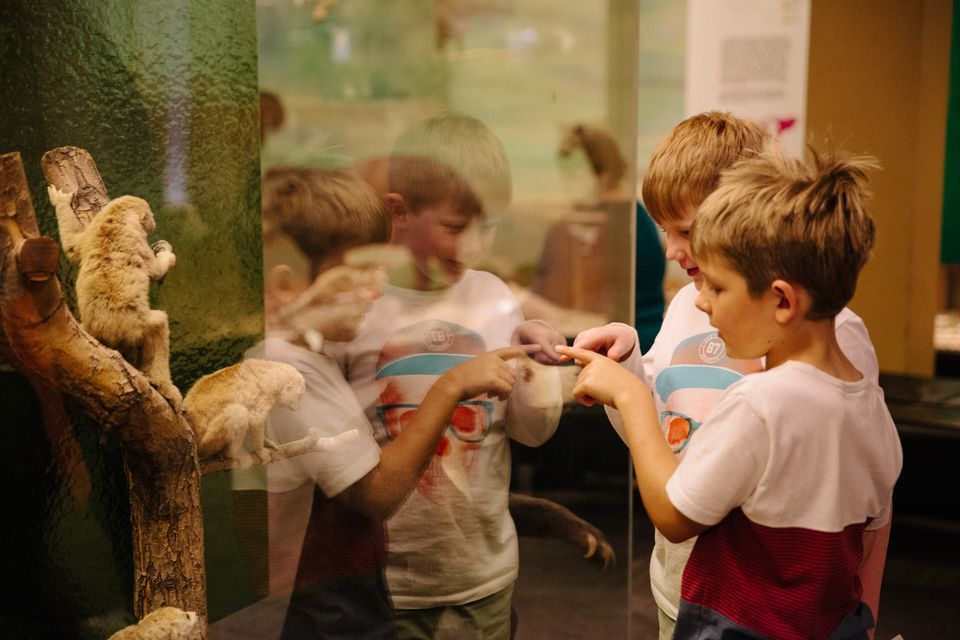 Young Explorers May: What is a Museum?