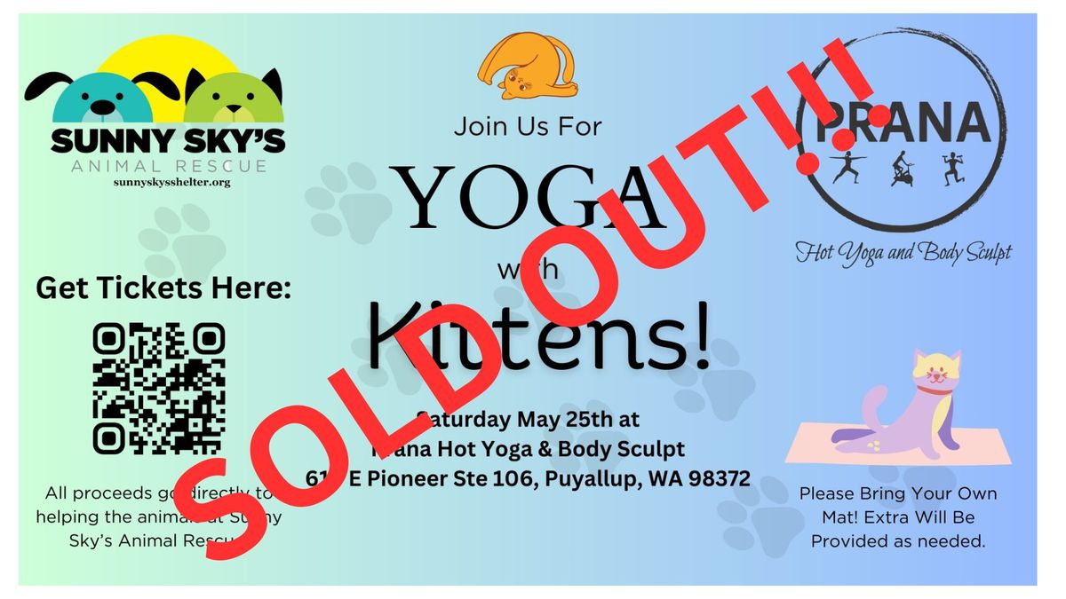Yoga with Kittens hosted by Prana Yoga