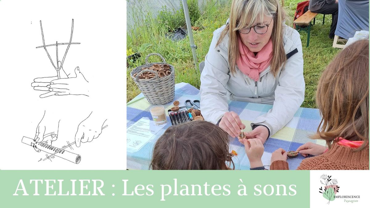 Les plantes \u00e0 sons - Atelier de cr\u00e9ation d'instruments de musique