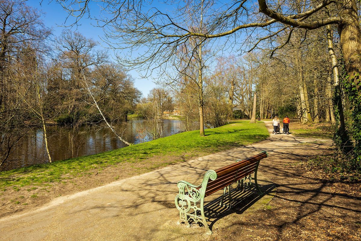 Walk for Wellbeing - Birch Hill: South Hill Park