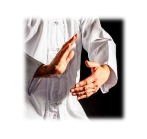 TAI CHI \u2013 24 YANG SIMPLIFIED FORM (12 Week Program)