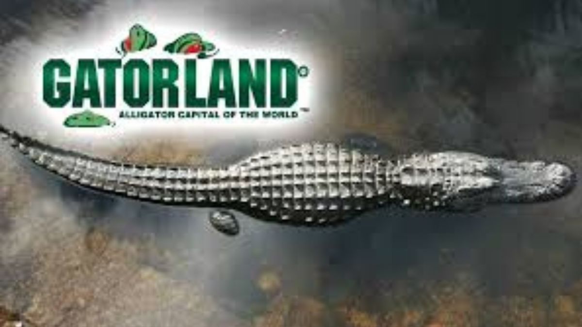 Free for Seniors: A Day at Gatorland