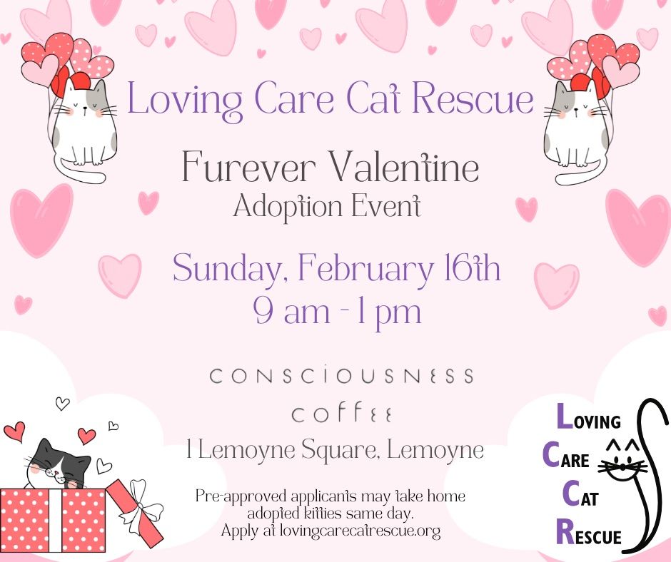 Furever Valentine Adoption Event