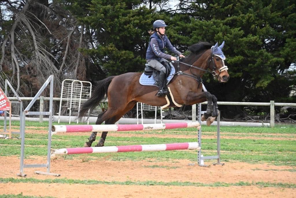 Paul Williams Showjumping Lessons 