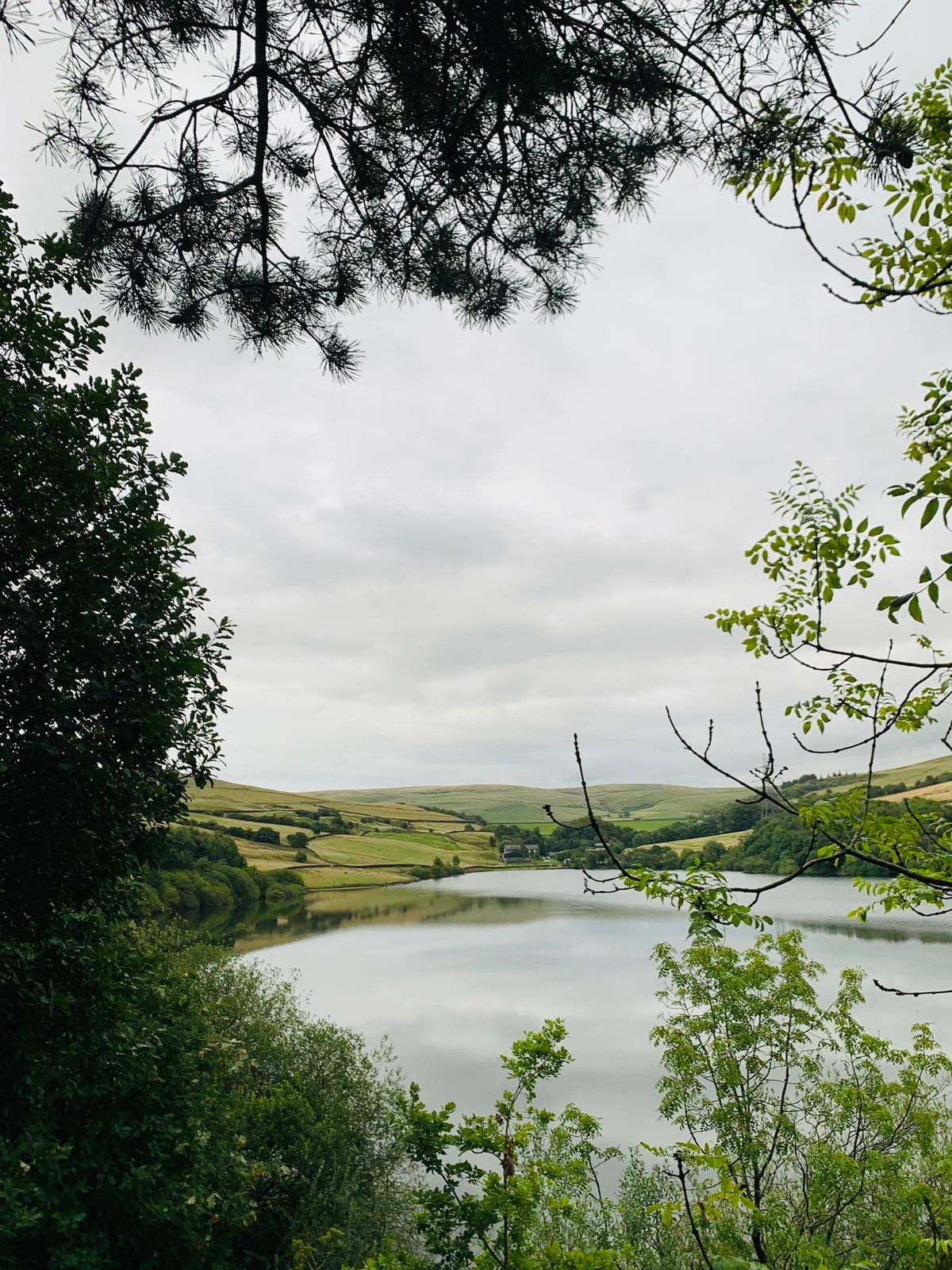 Piethorne Valley Walk 