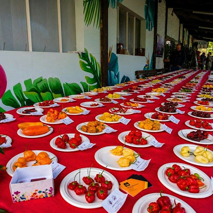 Event Photos
