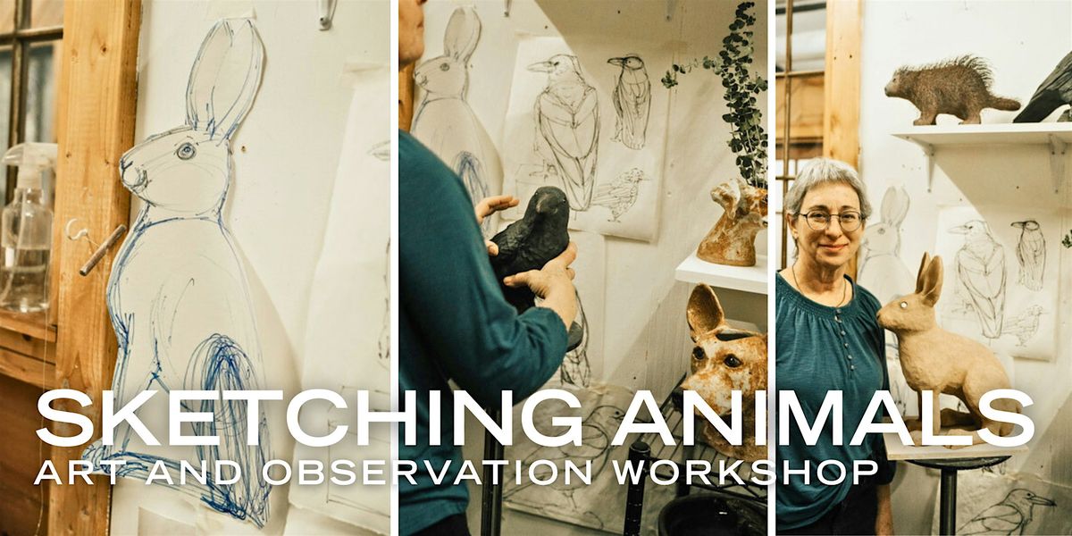 Sketching Animals: Art and Observation Workshop w\/ Artist Terry Golson