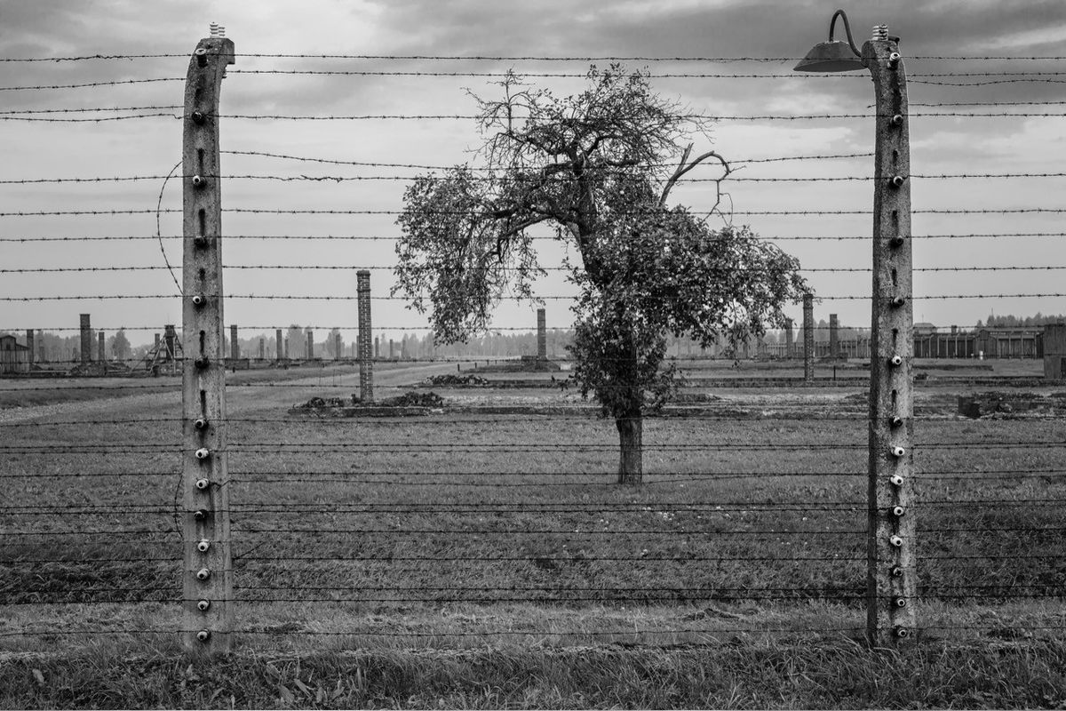 Ausstellung \u00bbSuche nach G\u2019tt\u2026 in Auschwitz und Birkenau\u00ab