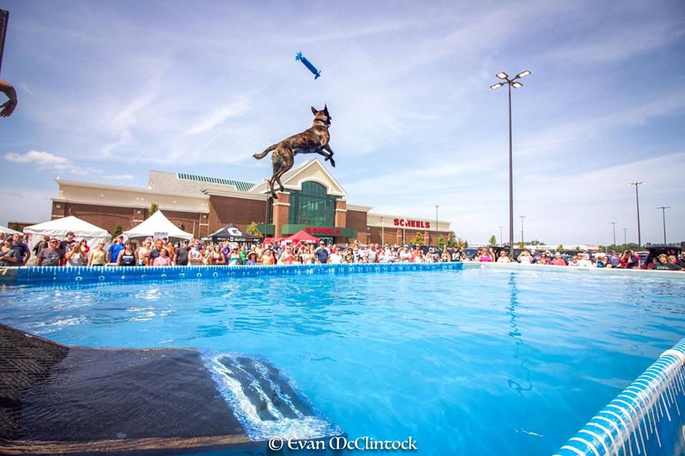 DockDogs\u00ae at Scheels Hunting Expo  | Sioux Falls, SD