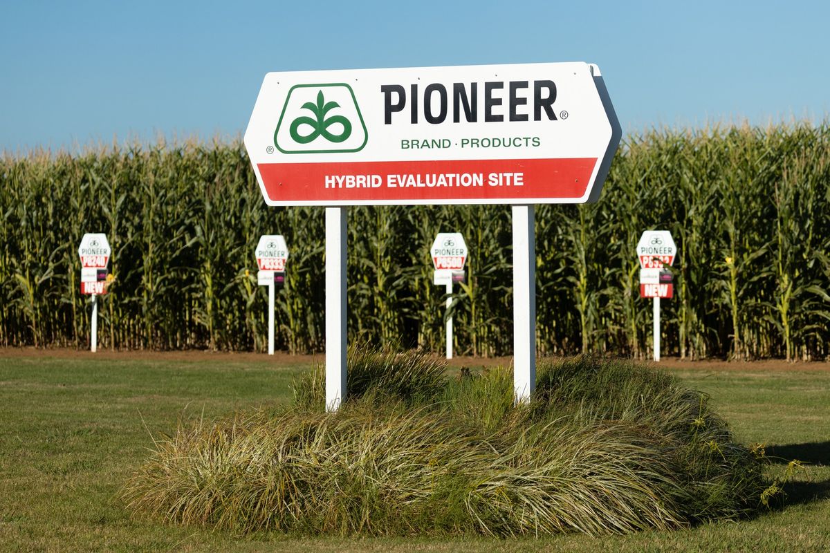 Pioneer Rukuhia Open Day 2025