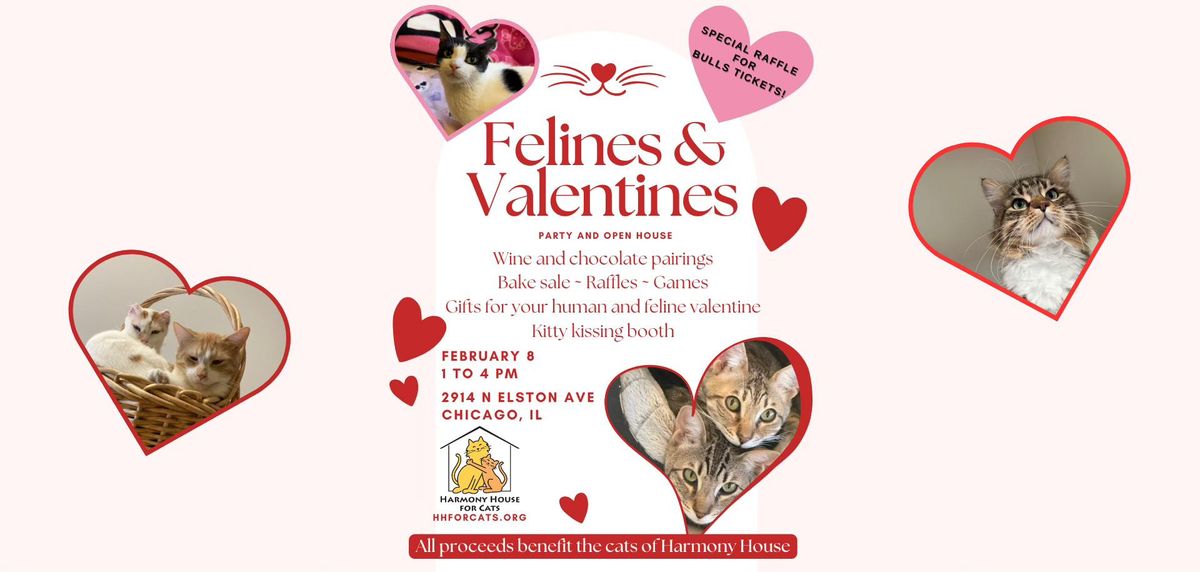 Felines & Valentine's Party and Open House!