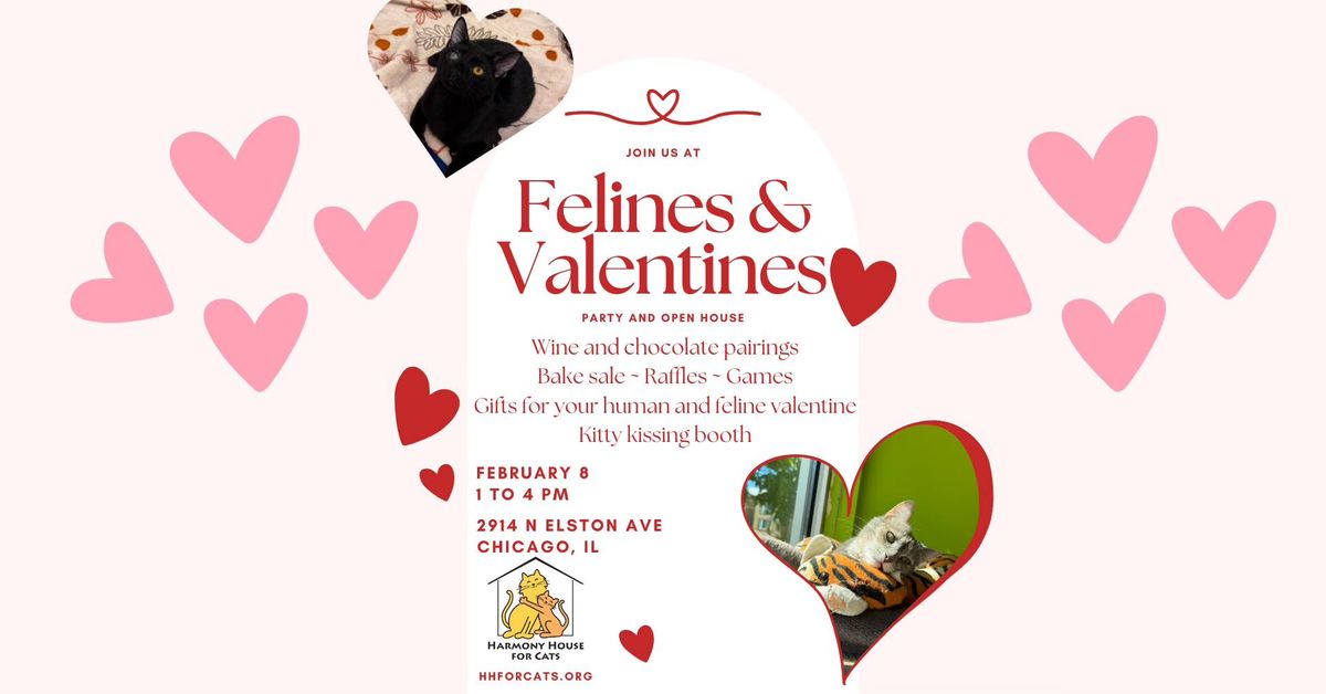 Felines & Valentine's Party and Open House!