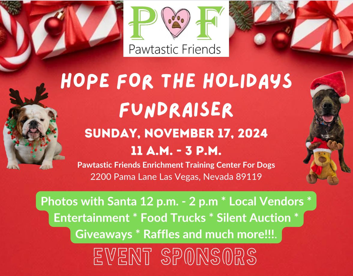 Hope for the Holidays Fundraiser