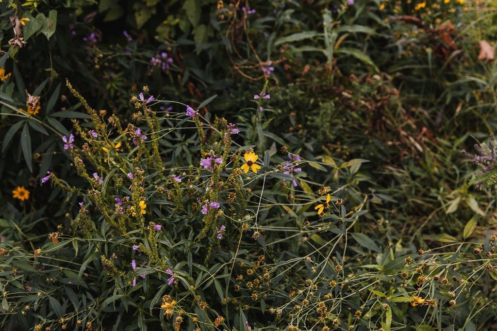 Herbalism 101: Herbal Incense Making