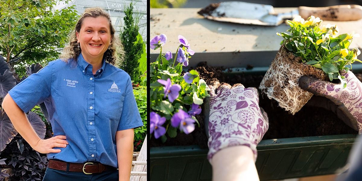 Look & Learn: Container Gardening (On-site Drop-in Program)