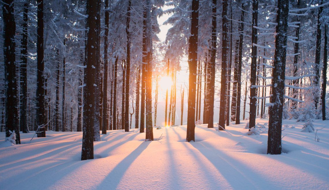 Winter Solstice Grandmother Medicine Ceremony