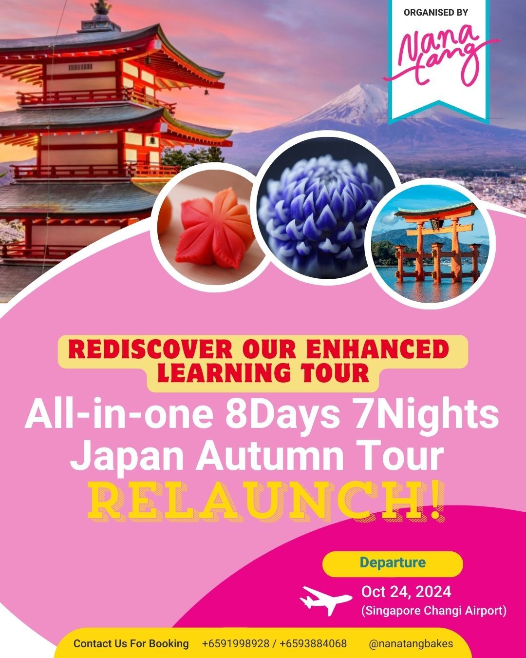 Nanatang's 11th Year Anniversary Learning Trip to Japan