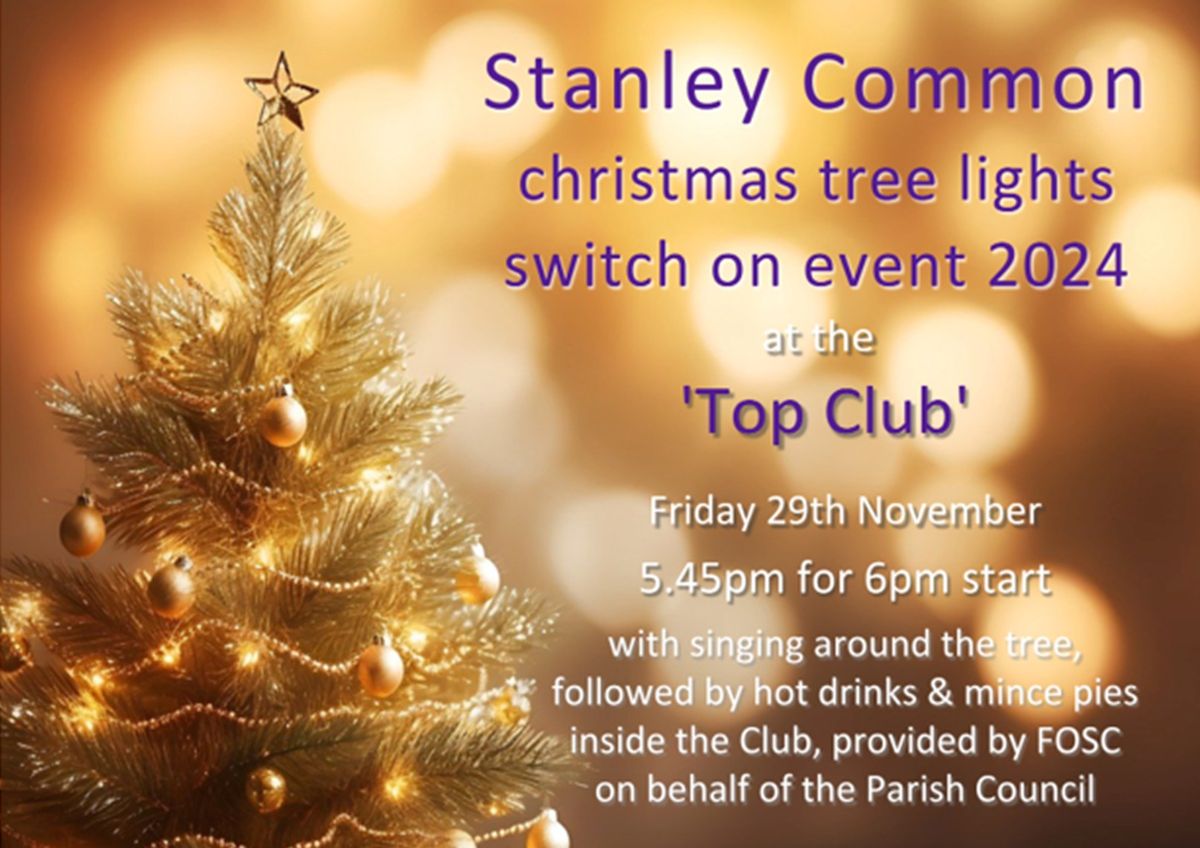 Stanley Common Christmas Tree Lights Switch-on