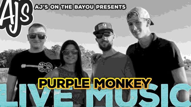 Live Music with Purple Monkey