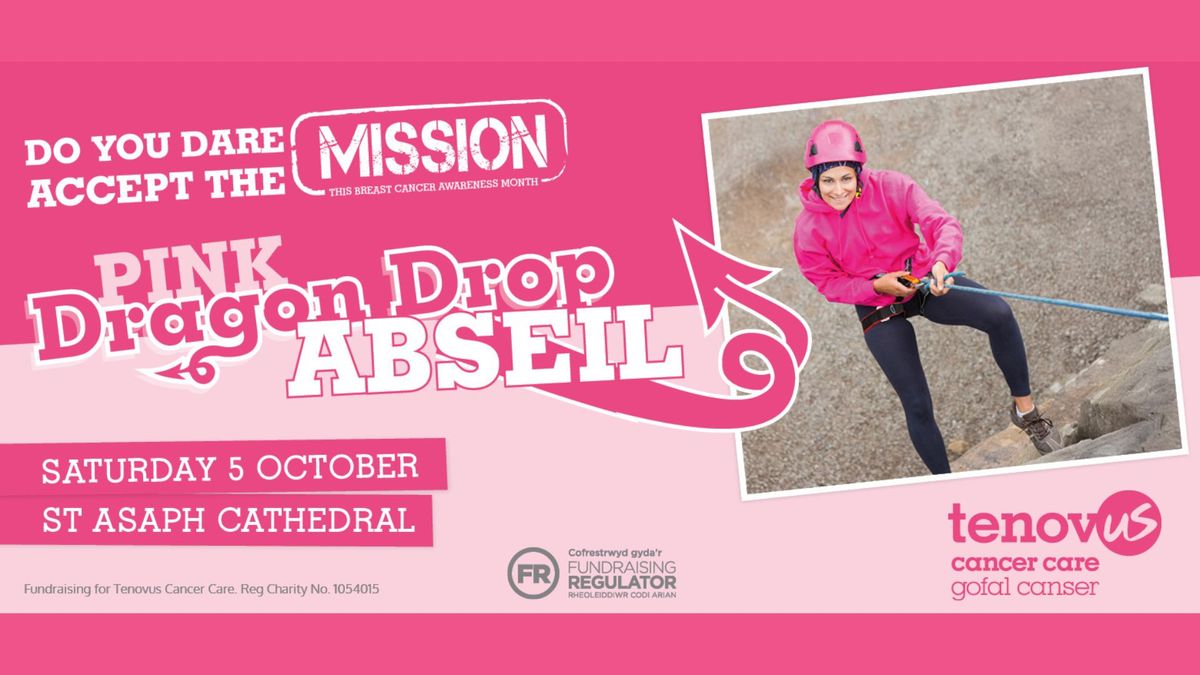 Pink Dragon Drop Abseil