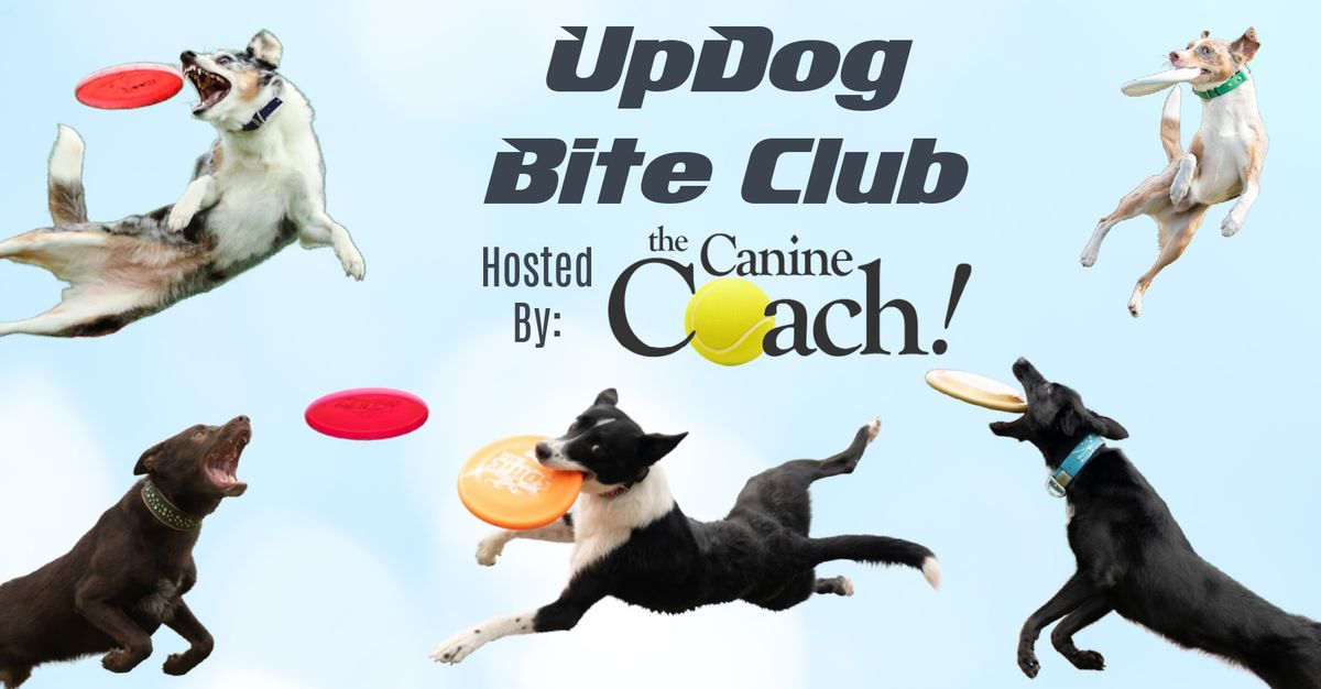 Disc Dog: UpDog Bite Club - Week 4