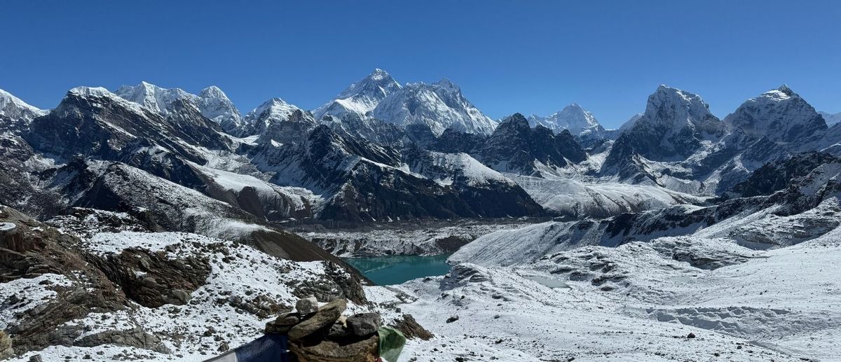 Hi-Fins - The Sixties Experience