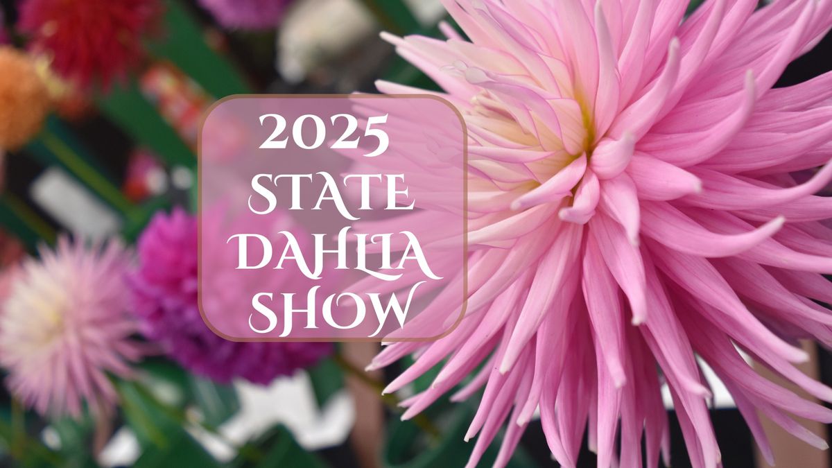 2025 State Dahlia Show