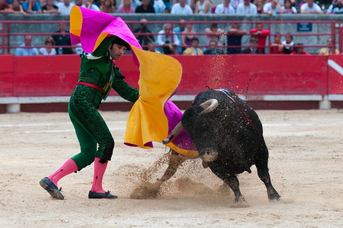 Bullfighting Madrid 2025 Tickets