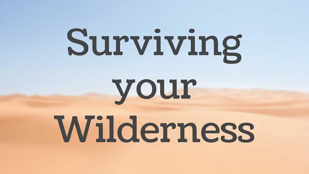 "Surviving Your Wilderness"