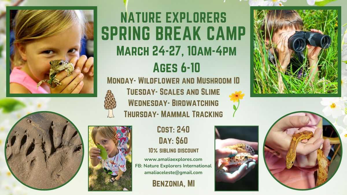 Spring Break Camp