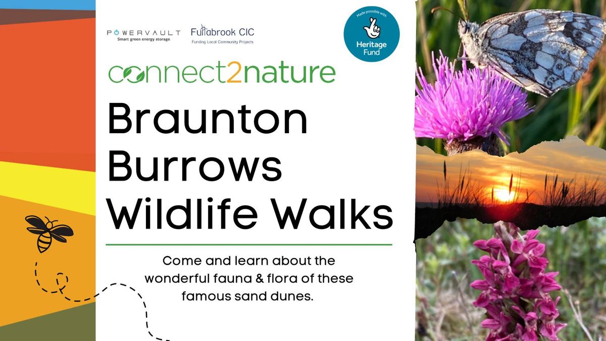 Guided Wildlife Walks on Braunton Burrows