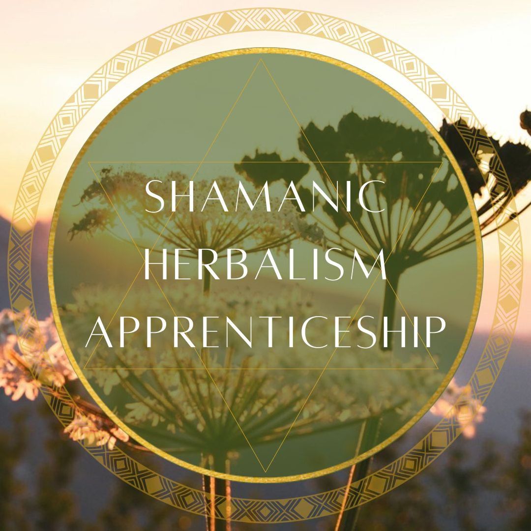 Shamanic Herbalism Apprenticeship