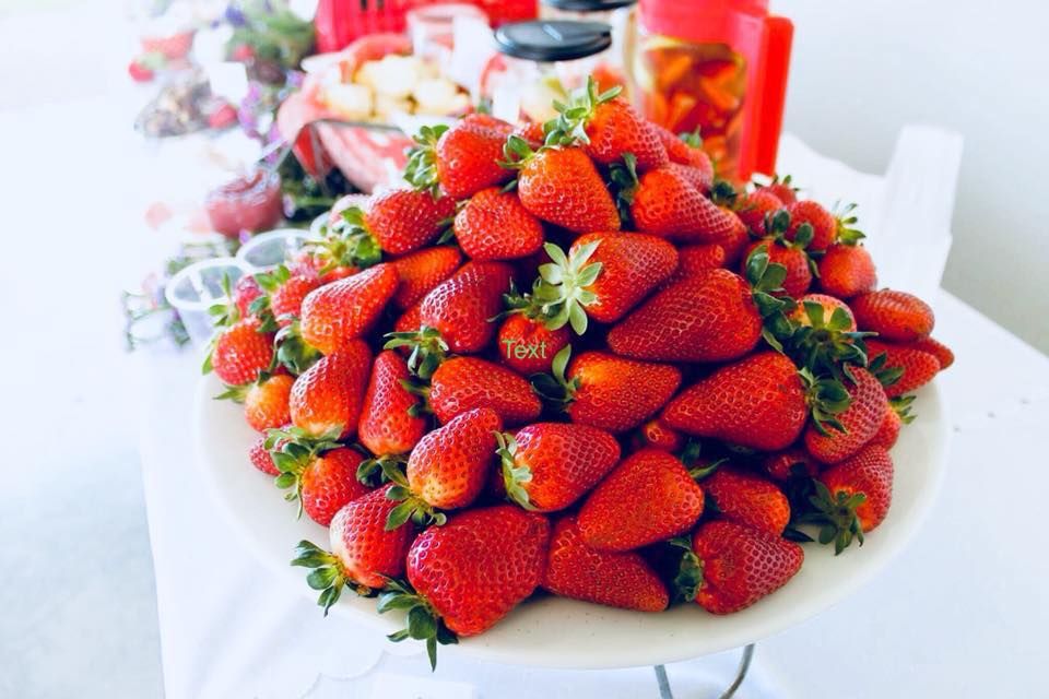 Bacchus Marsh Strawberry & Cherry Festival