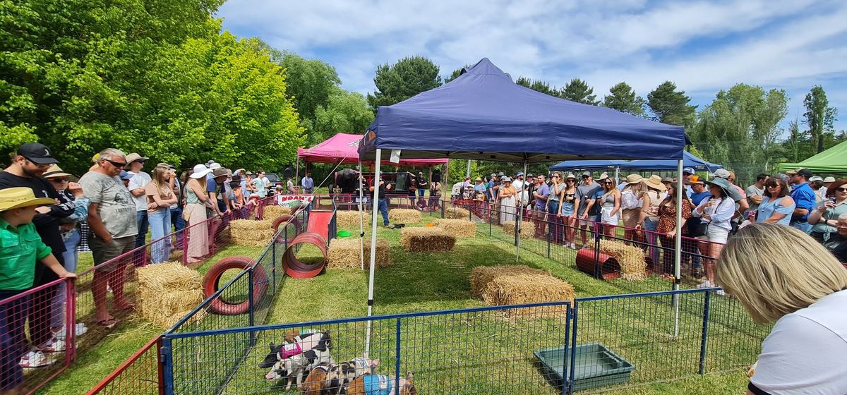 Bungendore Preschool Fair & Pig Races 2025