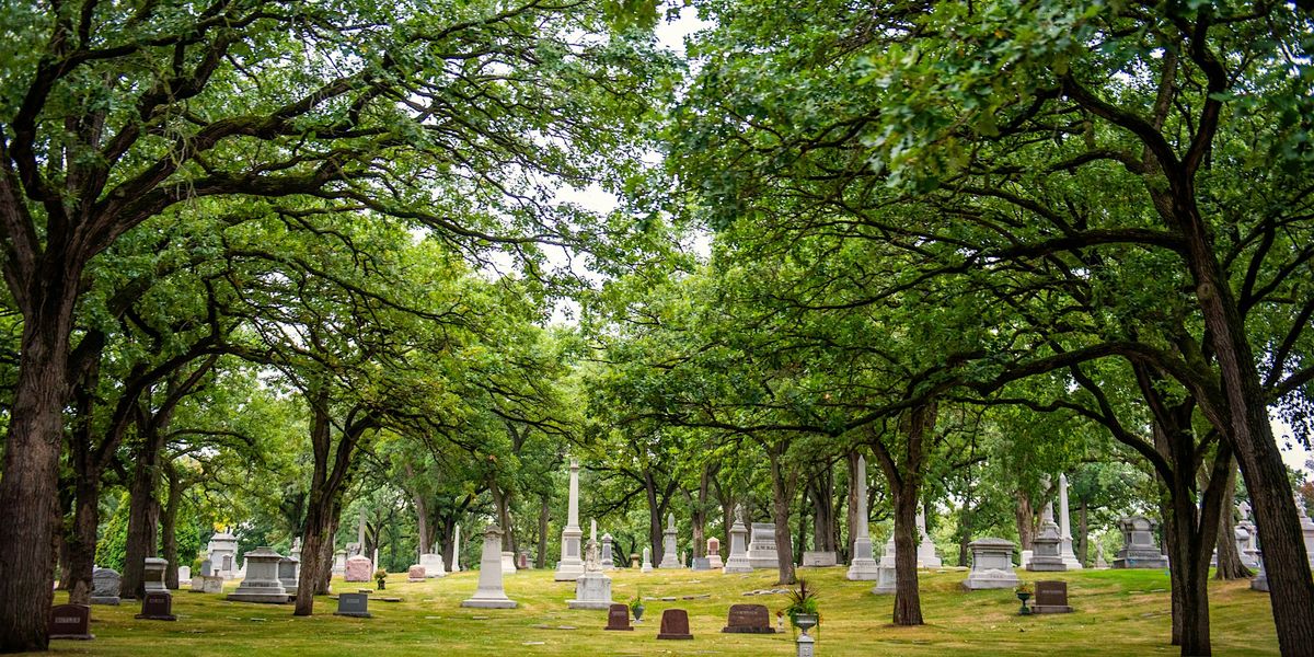 Legacy Trees of Lakewood: Public Walking Tour