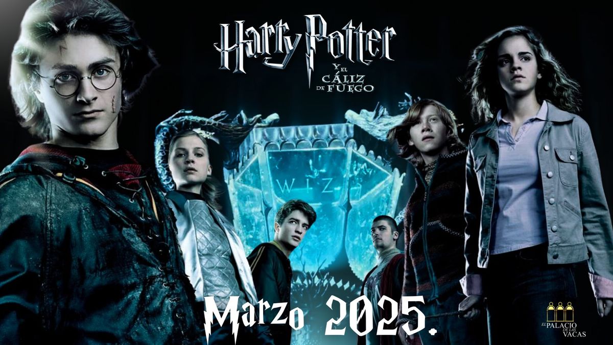 HARRY POTTER CALIZ DE FUEGO