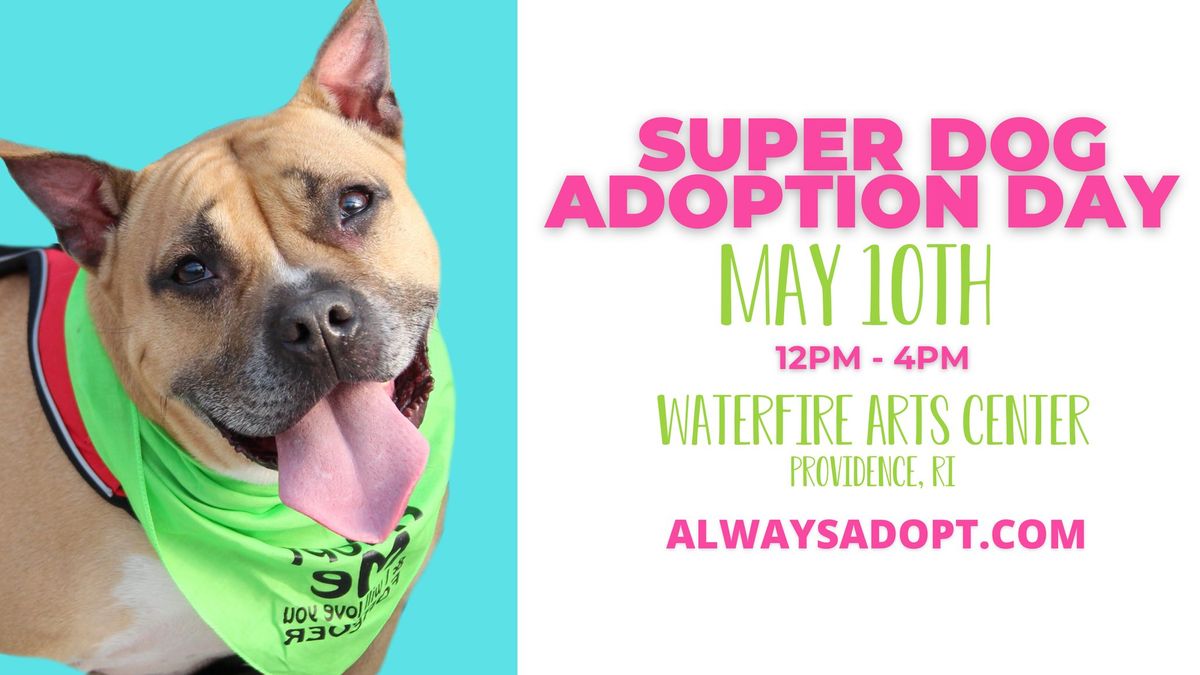 Super Dog Adoption Day 