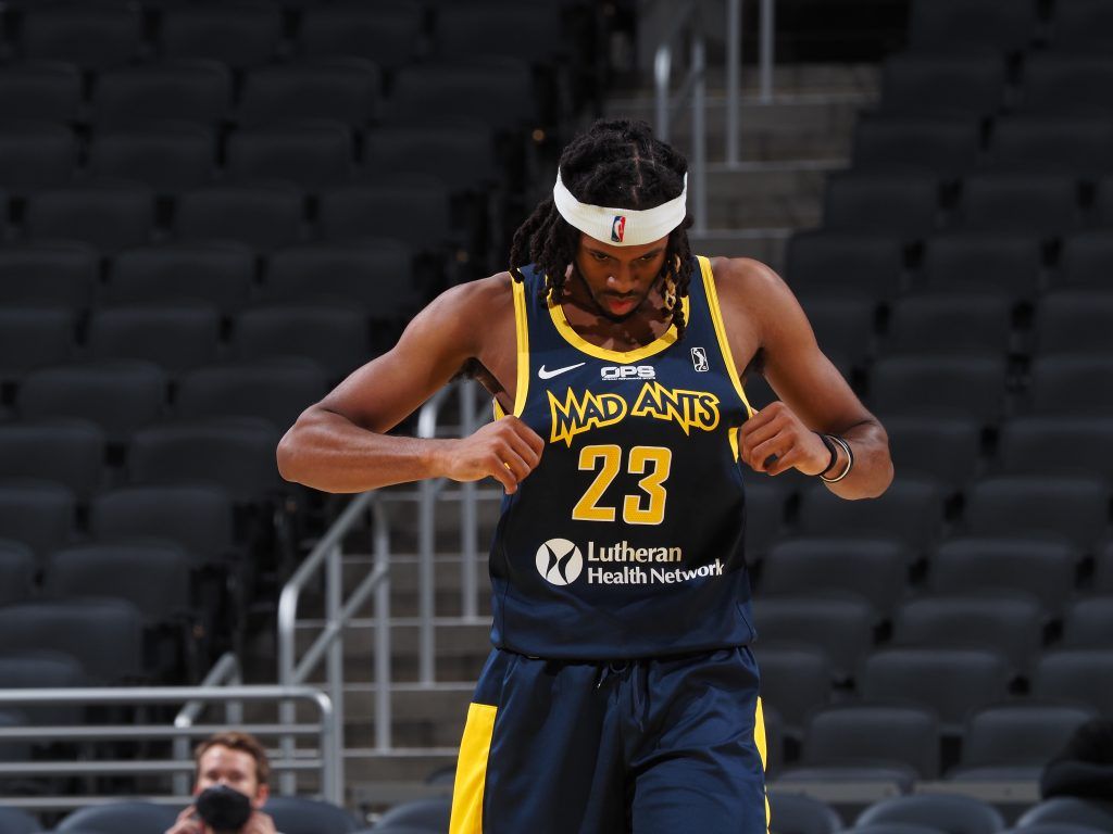 Indiana Mad Ants vs. Greensboro Swarm