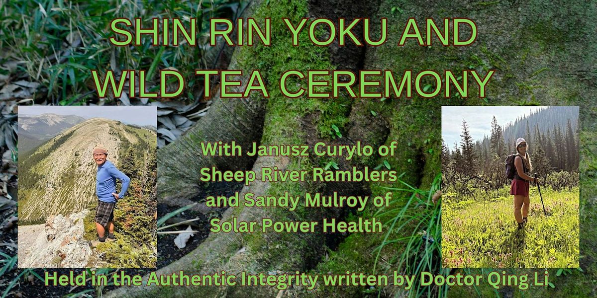 Forest Bathing And Wild Tea Ceremony