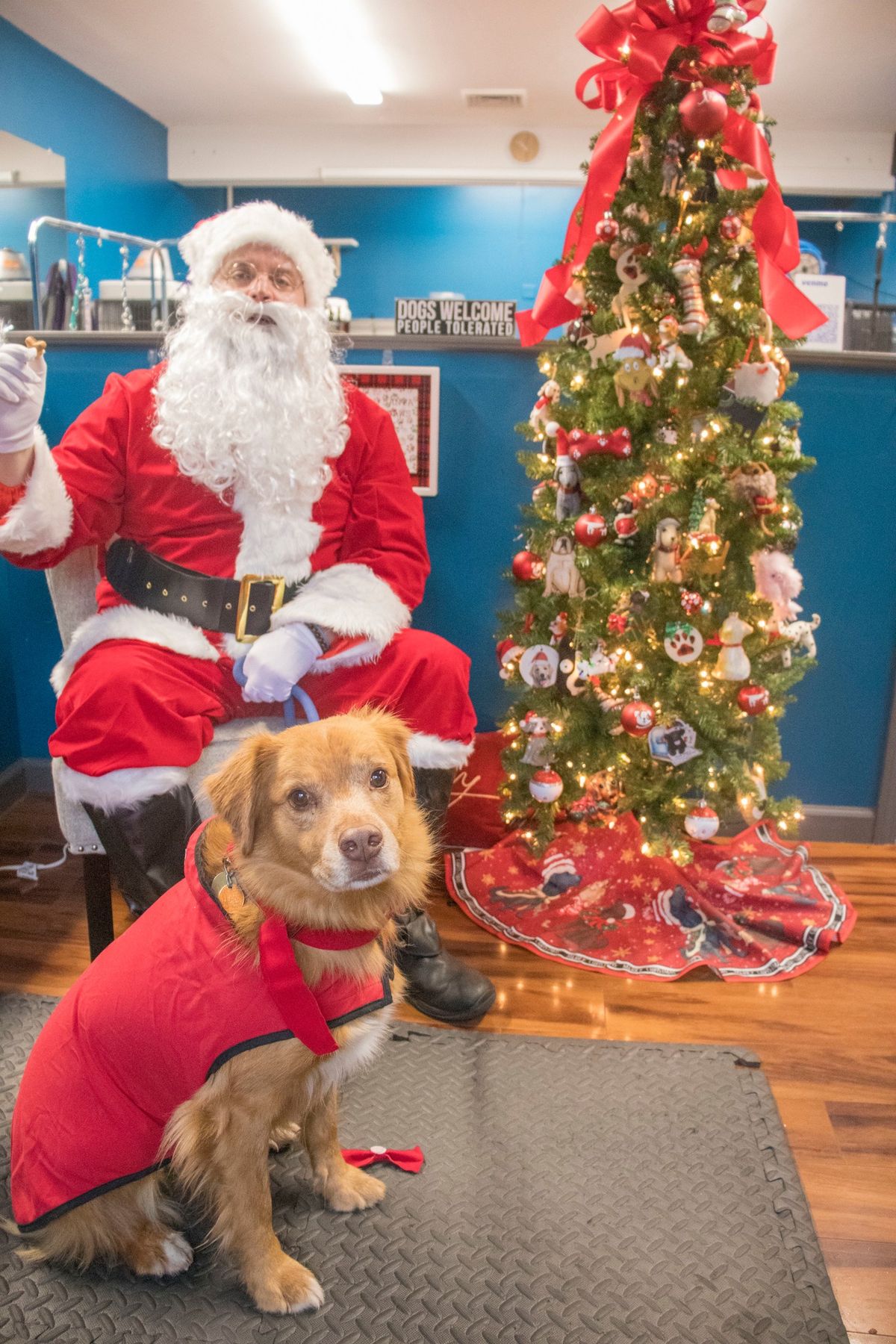 Pet Pics with Santa to benefit Gimme Shelter