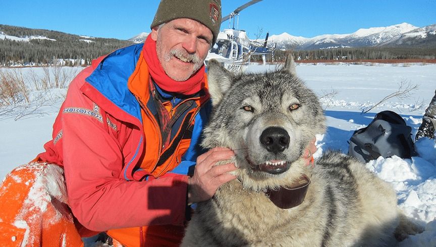 National Geographic Live: Doug Smith - Wild Wolves of Yellowstone